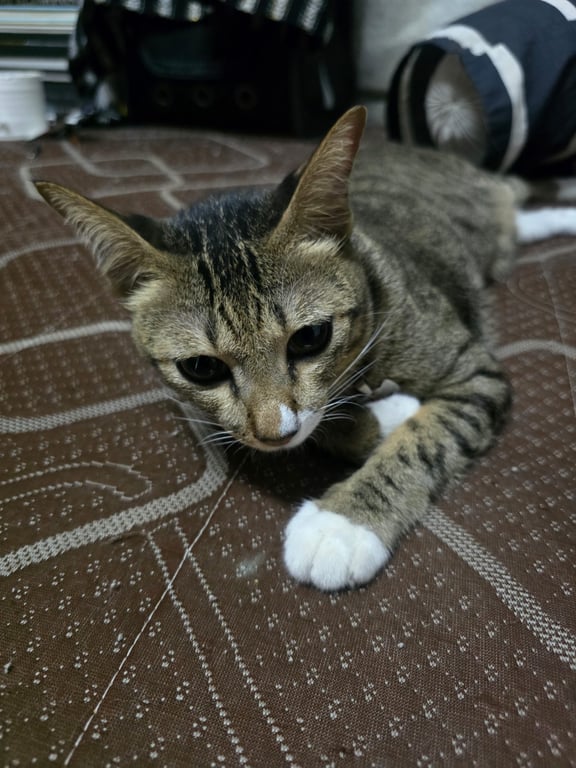 คุณหมิง(ลูกชิ้น)