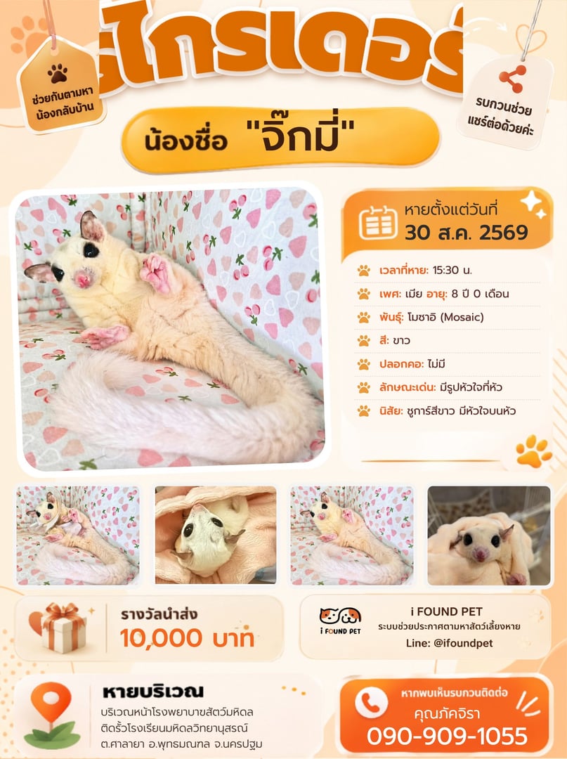 จิ๊กมี่