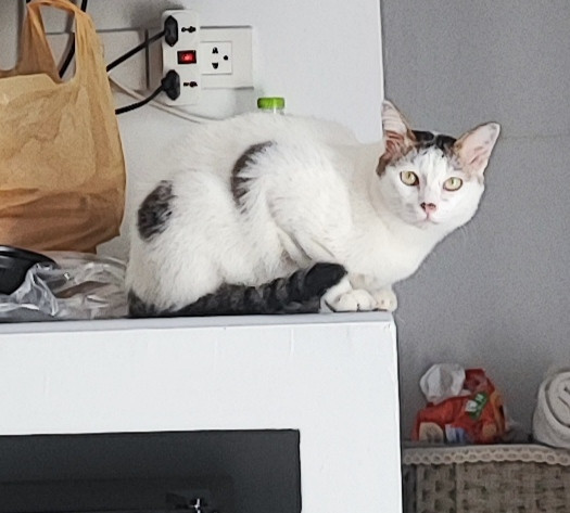 เฮงๆ