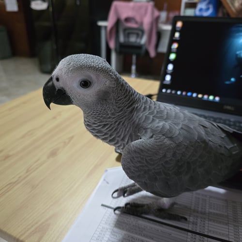 มีตังค์