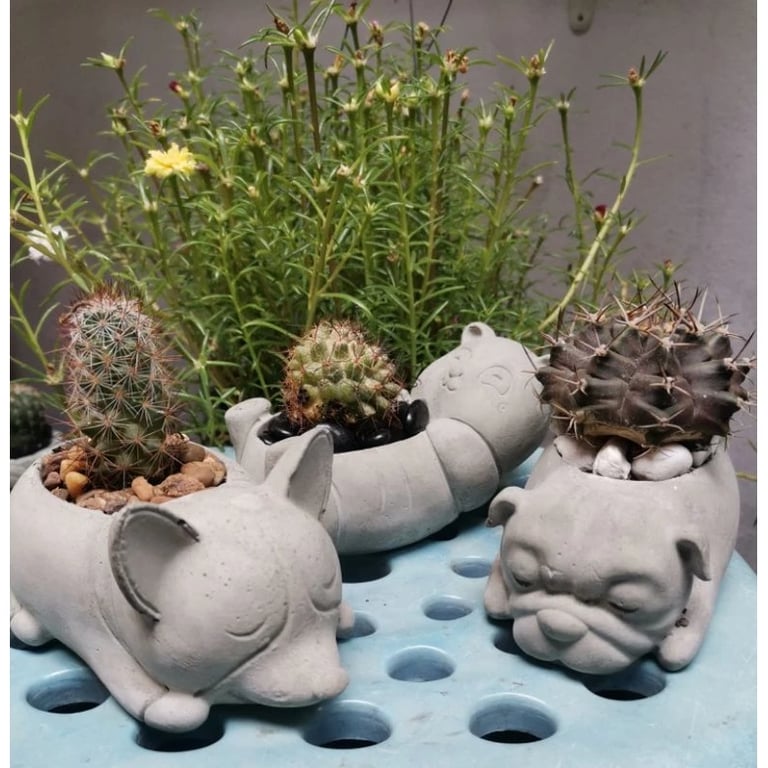 กระถางต้นไม้รูปน้องหมา