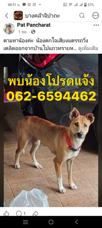 มีบุญ