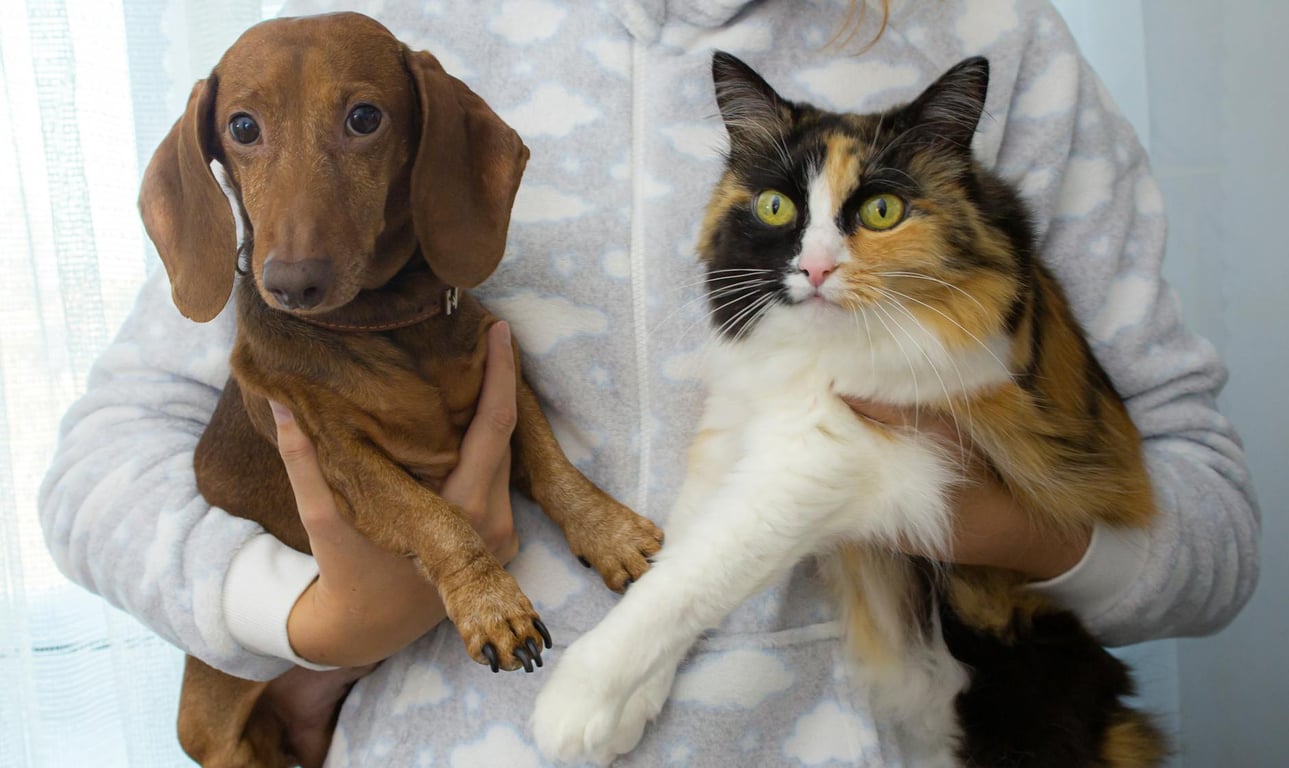 ตลาดสัตว์เลี้ยง PET EXPO ฟื้นตัวโตไม่แผ่ว คาดรายได้ล้นพันล้านบาท