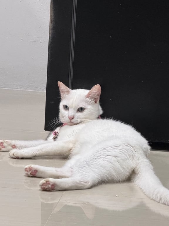 นฤมล
