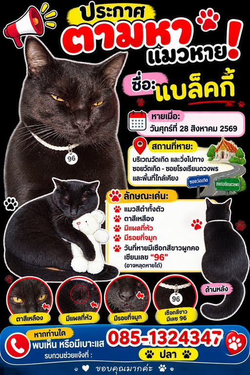 แบล็คกี้