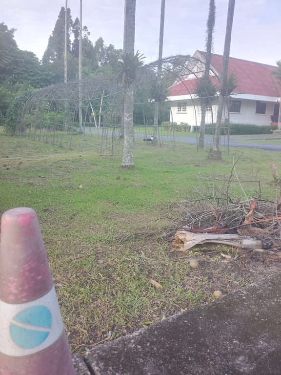 ตามหาเจ้าของหมา พบเจอตอน17.30น่าจะเป็นหมาจอน หรือเลี้ยงแบบไม่ได้ใส้ปลอกคอ