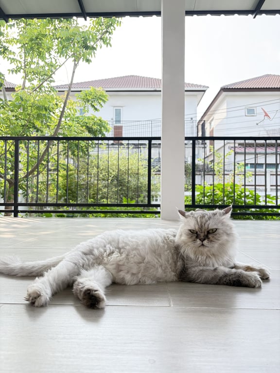 พลอย