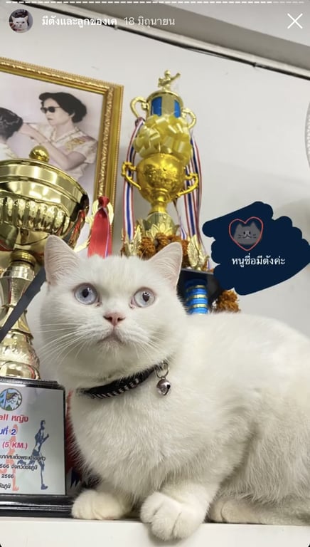 มีตังค์