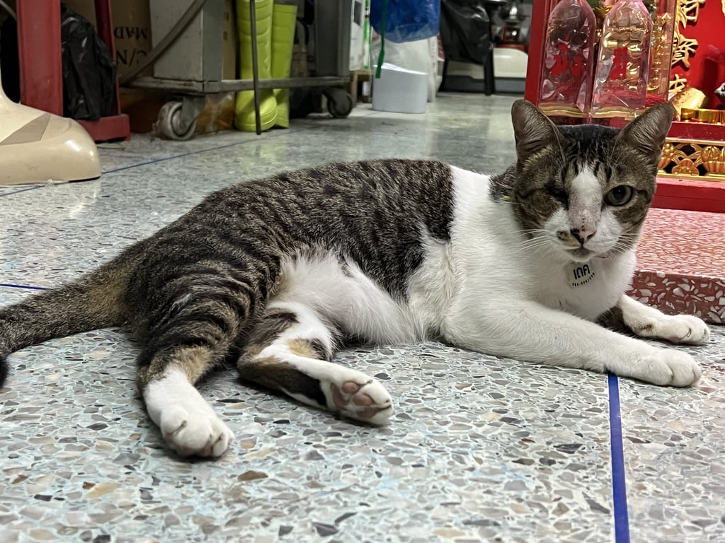 นุ้ง ตาบอดขวา 1 ข้าง