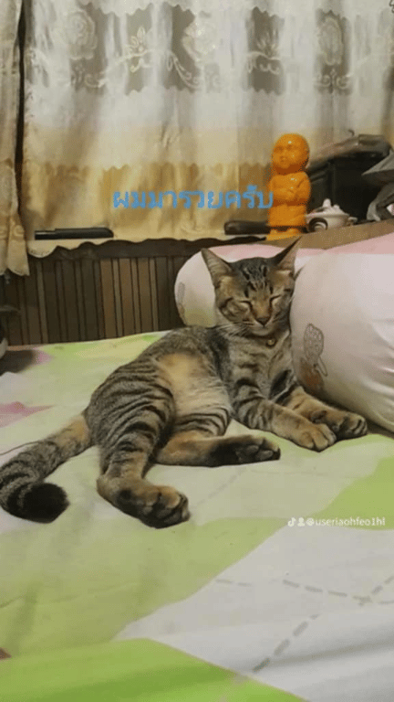 พารวย
