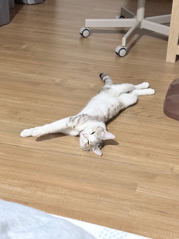 ไข่ตุ๋น