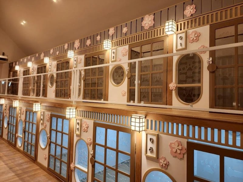 The Paradise Pet Hotel รับฝากเลี้ยงสุนัข รับฝากเลี้ยงแมว ฝากหมา ฝากแมว