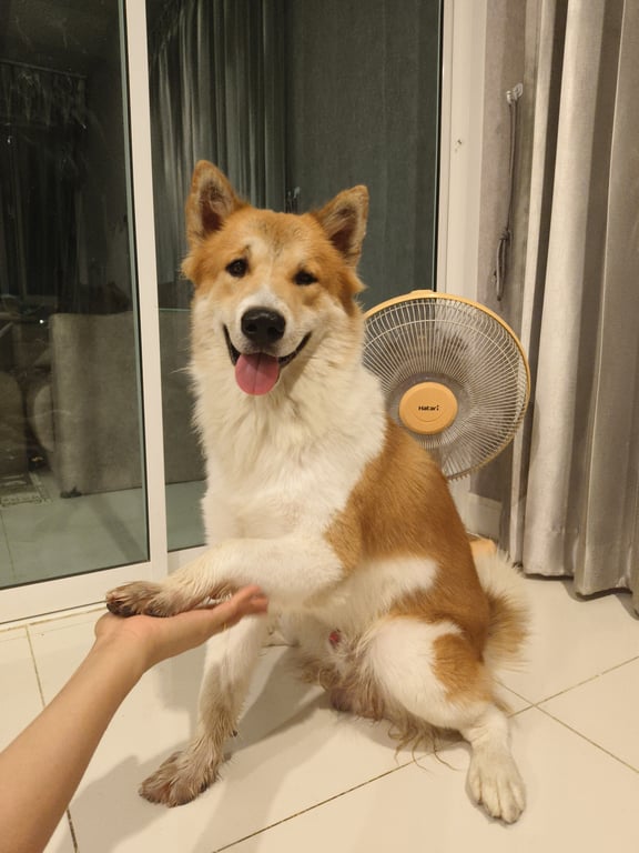 ซิตี้