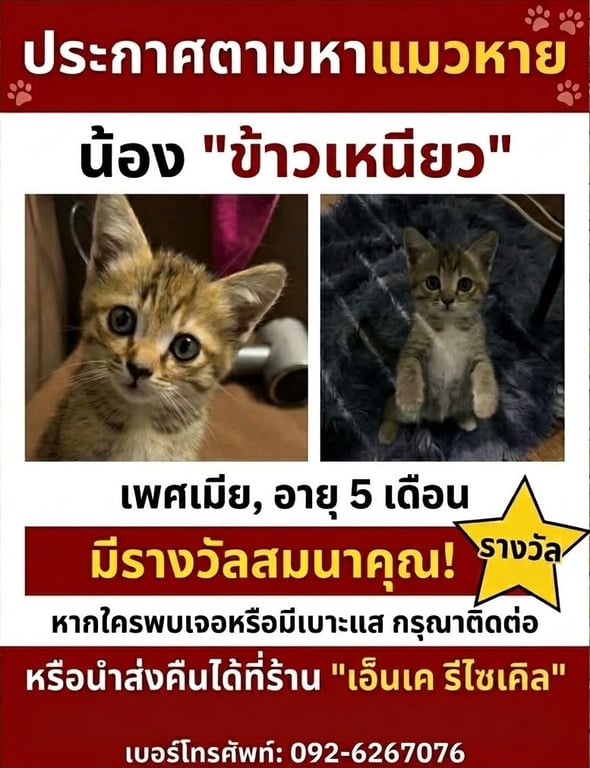 ข้าวเหนียว