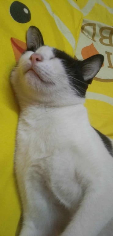 มีตังค์