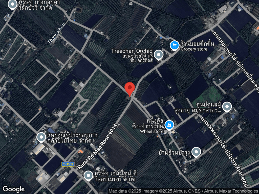 สถานที่หายของโคโค่