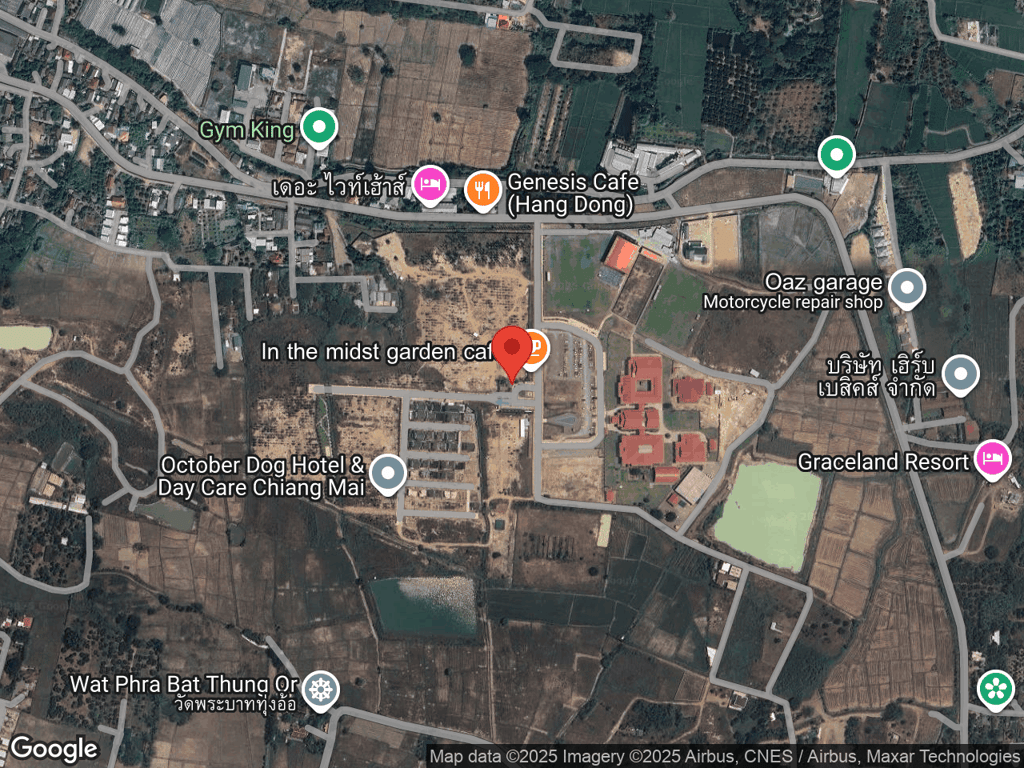 สถานที่หายของมินนี่ Minnie