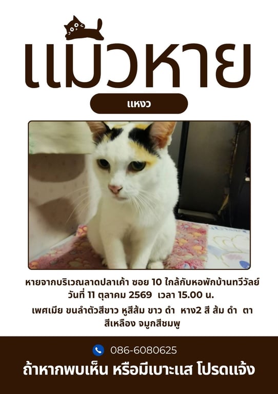 แหงว
