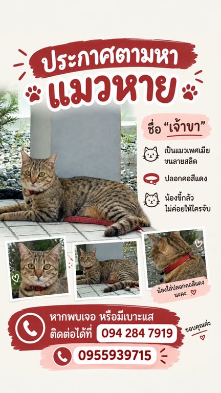 เจ้าขา
