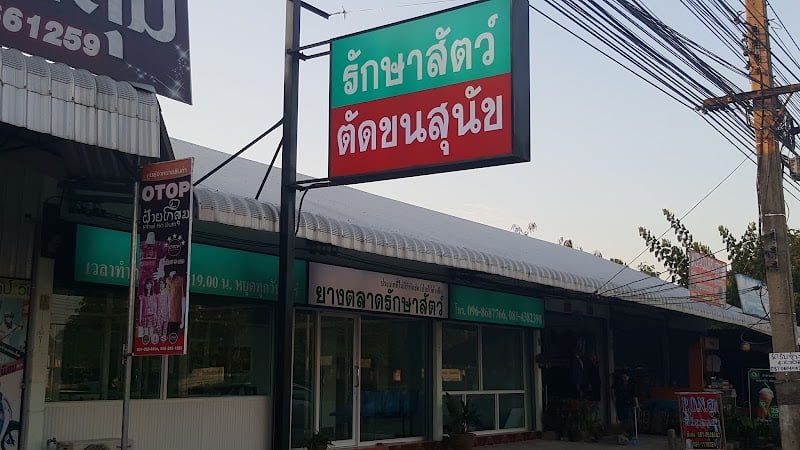 คลินิกยางตลาดรักษาสัตว์