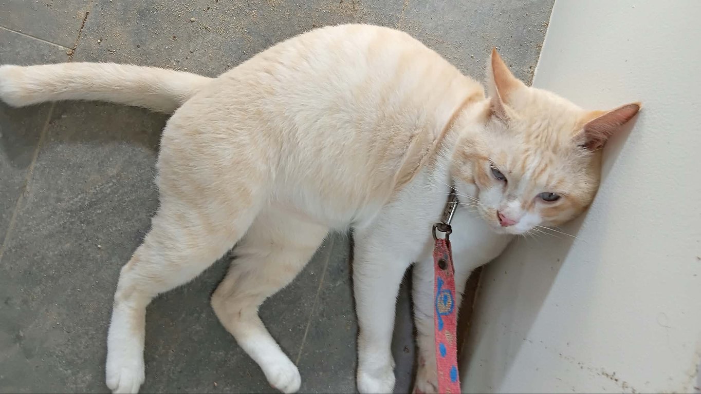 นำ