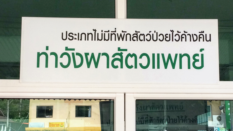 ท่าวังผาสัตวแพทย์