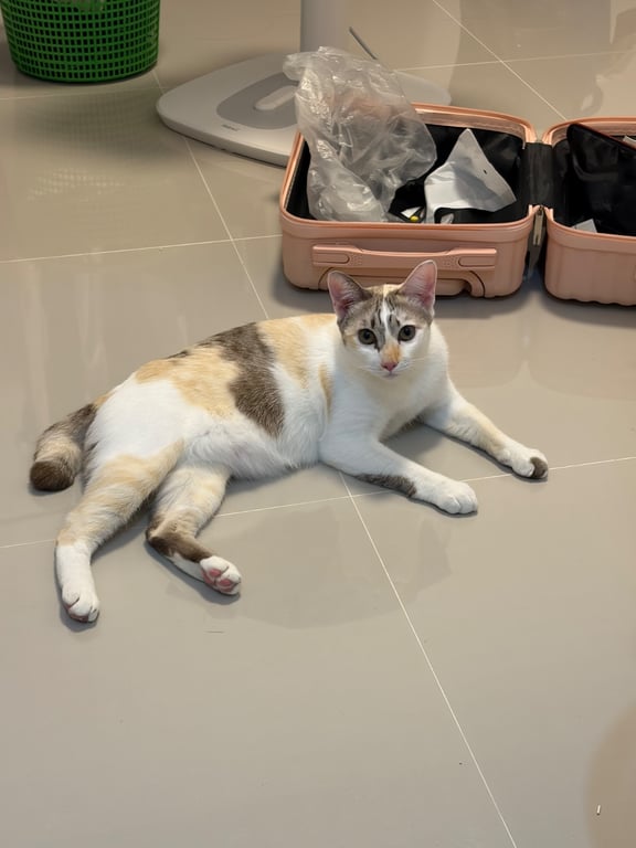 พลอย