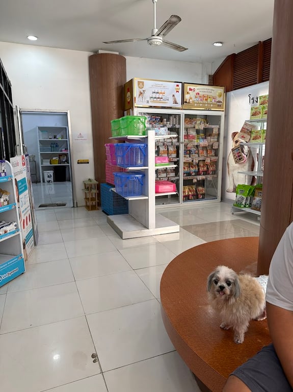 โรงพยาบาลสัตว์อยุธยา (บ้านอิงอุ่น)