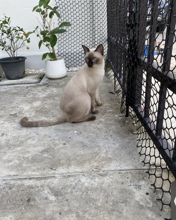 ฮีลใจ