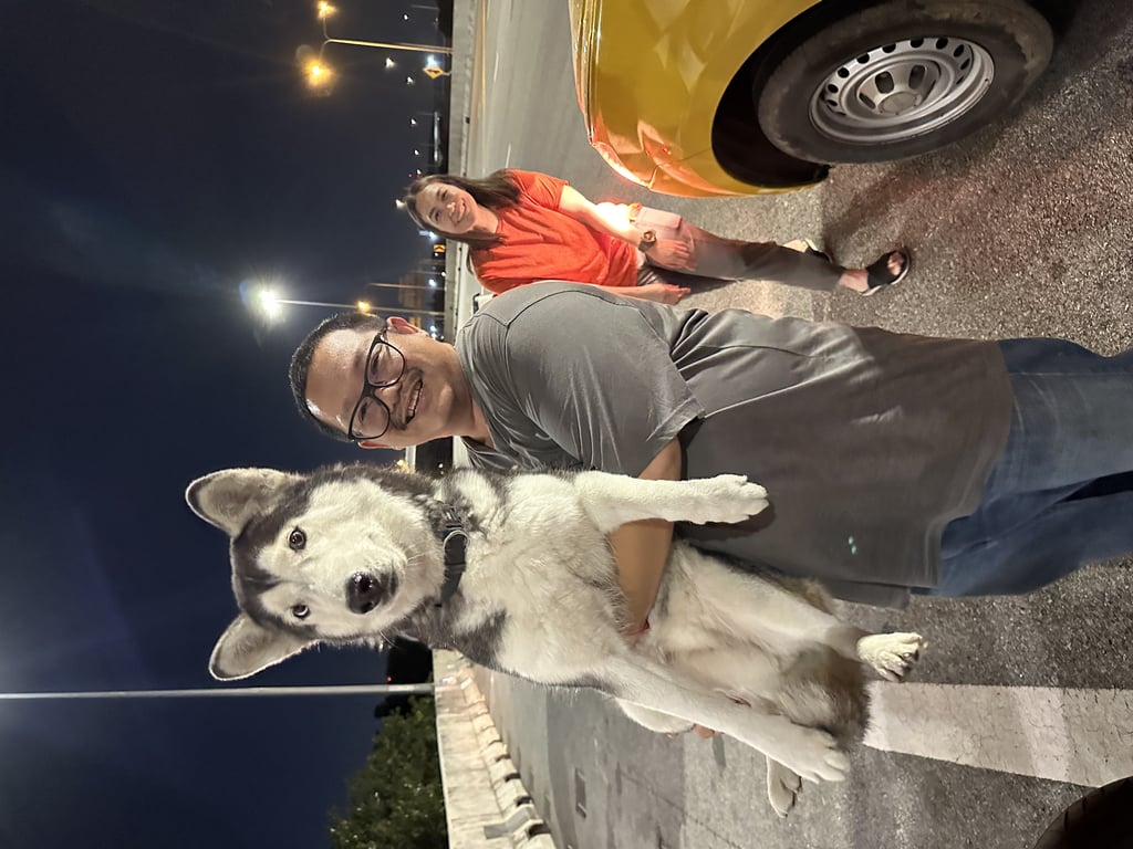 ตามหาเจ้าของหมา พบเจอสุนัขใส่บิลเลี่ยนเพศเมียอยู่บนทางด่วนระหว่างทางขึ้น ด่านพระราม 7ค่ะ