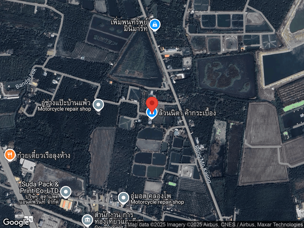 สถานที่หายของนิโคลัส