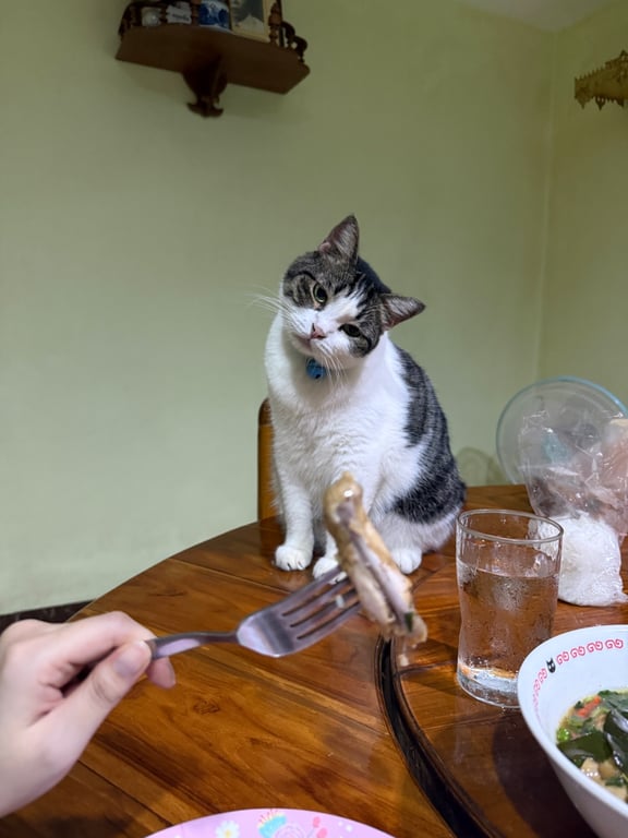 โชบิ