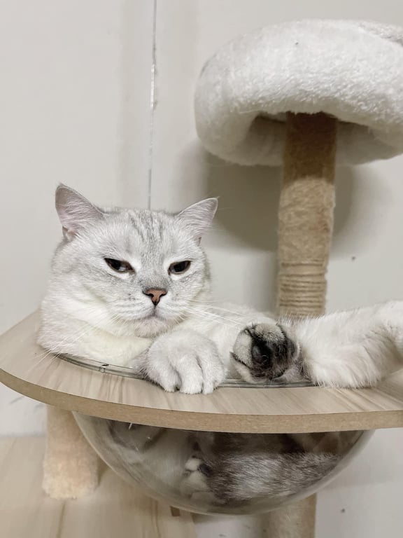 ฮาเดส