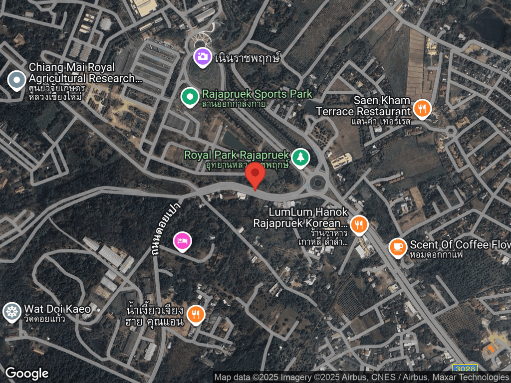 สถานที่หายของสำลี