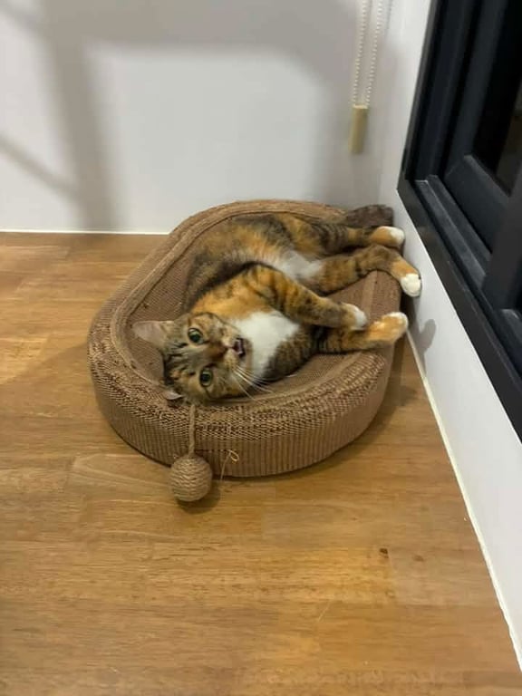ซูซู