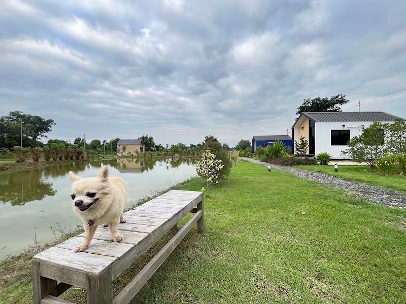 เบอร์เกน รีสอร์ท (Bergen Resort)