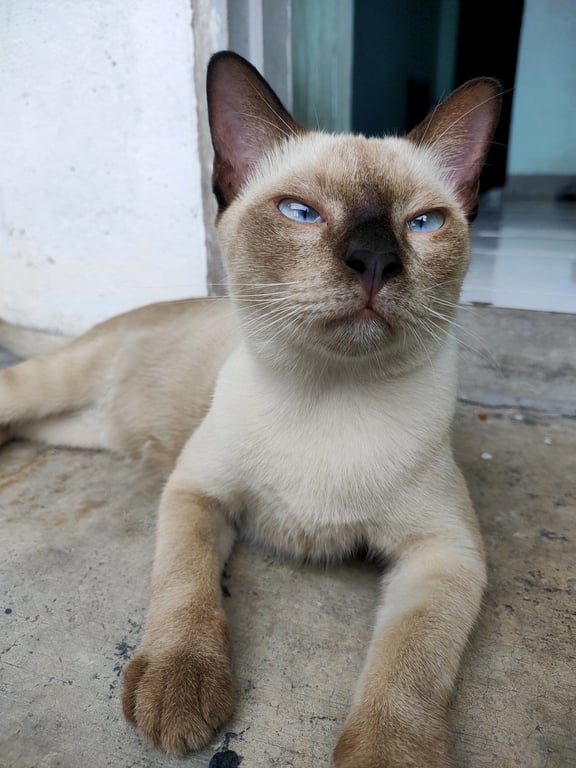 น้องแสตมป์