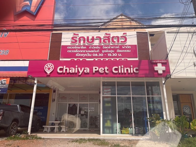 โรงพยาบาลสัตว์ไชยาเพ็ท