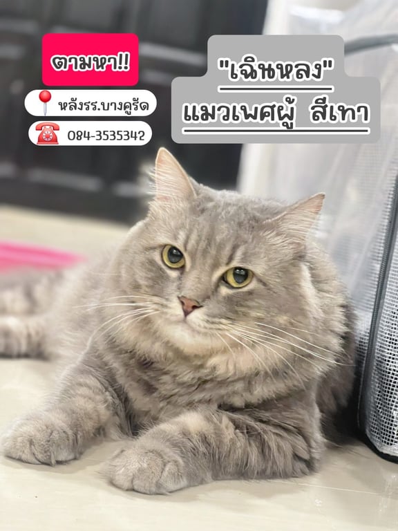 เฉินหลง