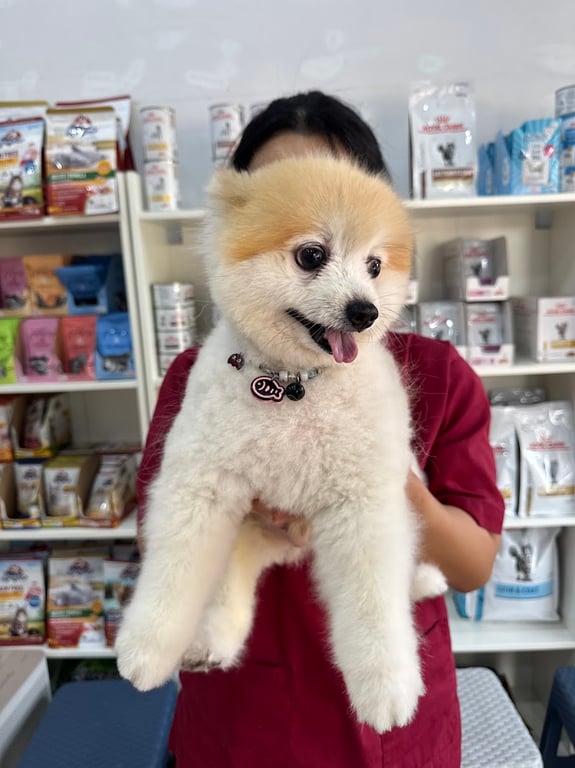 รพ.สัตว์สุขสมัย (สาขาลาดพร้าว) Suksamai Animal Hospital