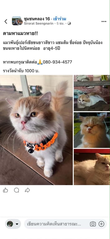 จ่อย