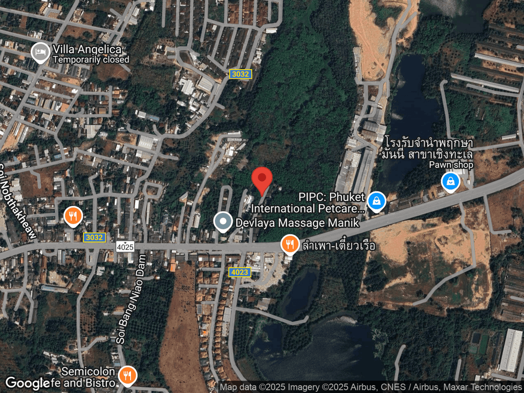 สถานที่หายของโซลเมท Soulmate