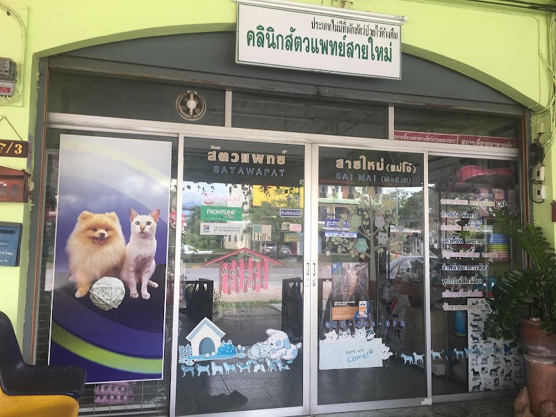 สัตวแพทย์สายใหม่ คลินิกรักษาสัตว์ แม่โจ้ เชียงใหม่