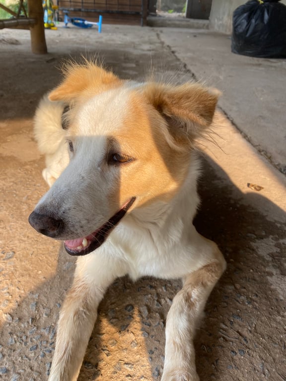 แต้มแต้ม