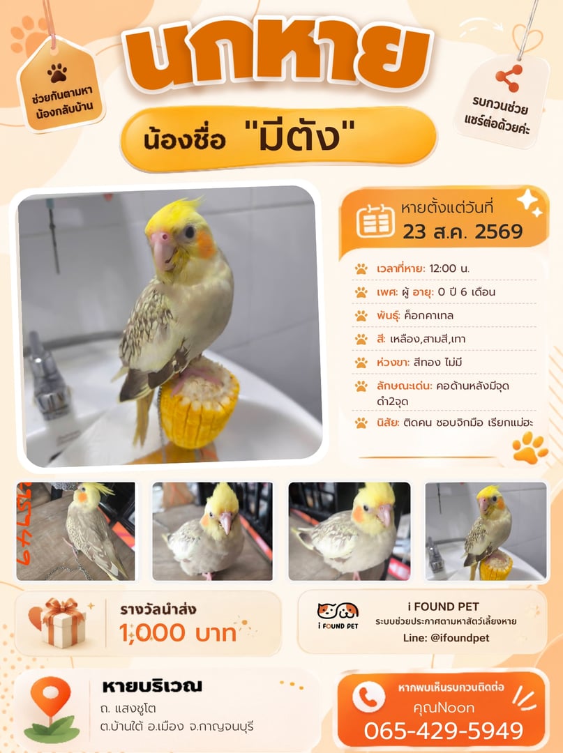 มีตัง