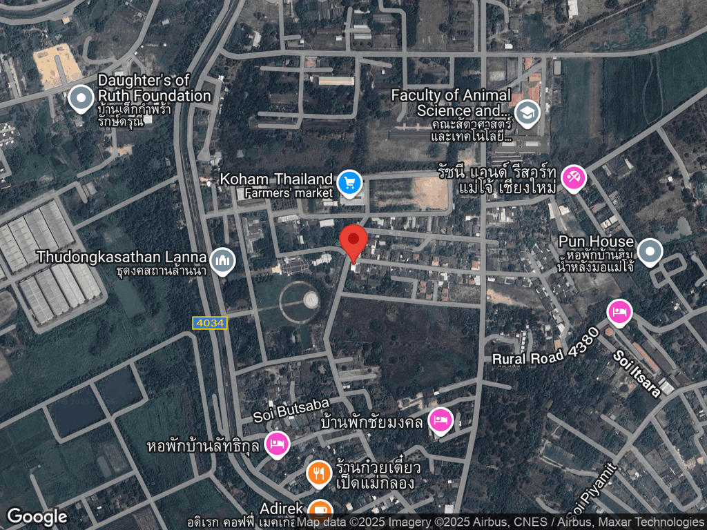 สถานที่หายของโคโค่