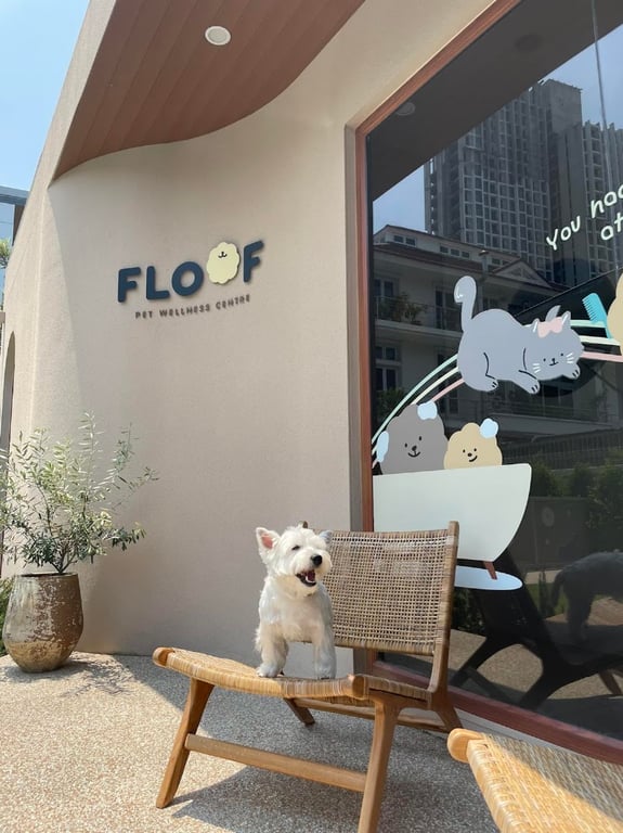 FLOOF Pet Wellness Centre ฟลู้ฟ เพ็ท เวลเนส เซ็นเตอร์