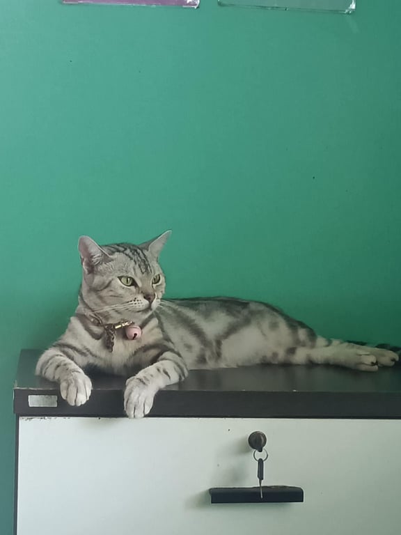 ยูริ