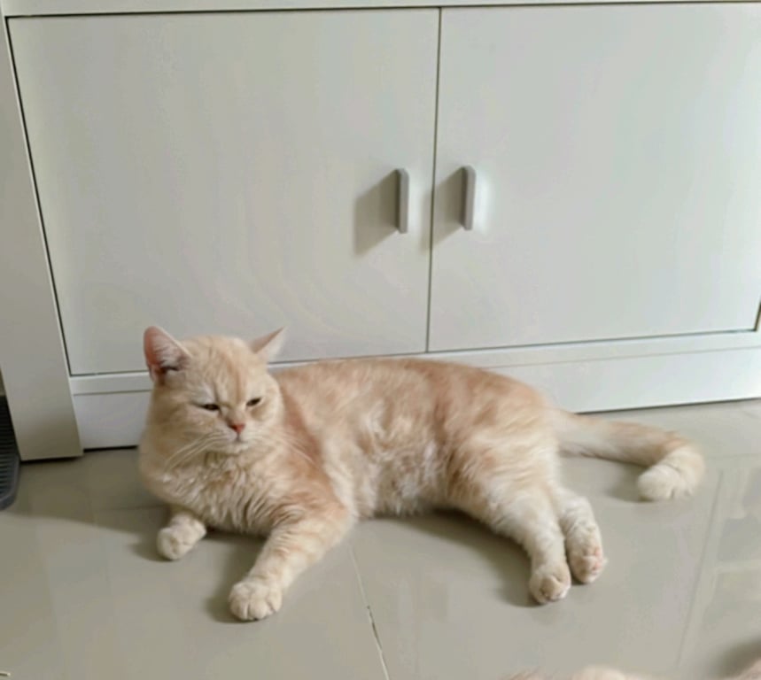 มีตังค์