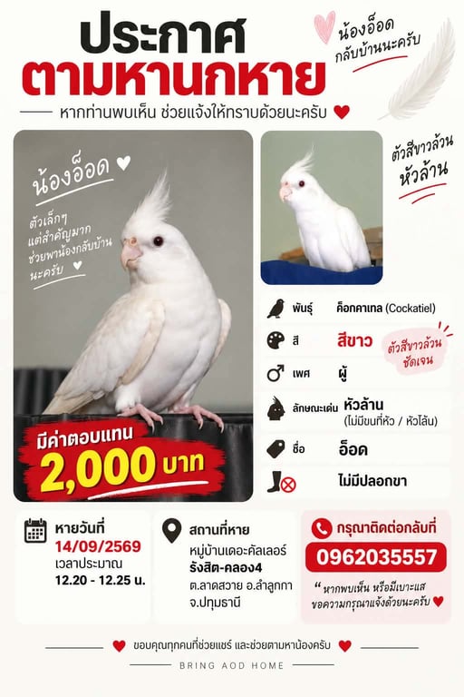 อ็อด